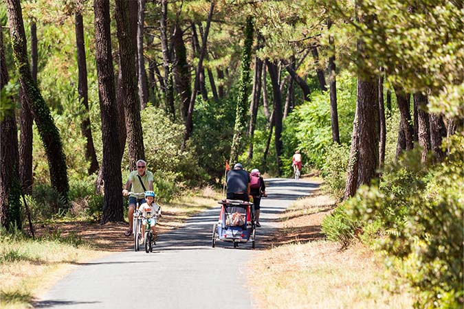 Visiter les forêts landaises à vélo