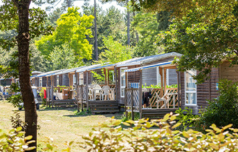 mobil-homes nichés au cœur d'un parc verdoyant