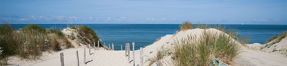 Dunes des Landes et l'océan à l'arrière